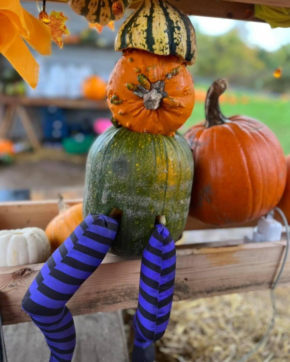 Children sitting on pumpkins