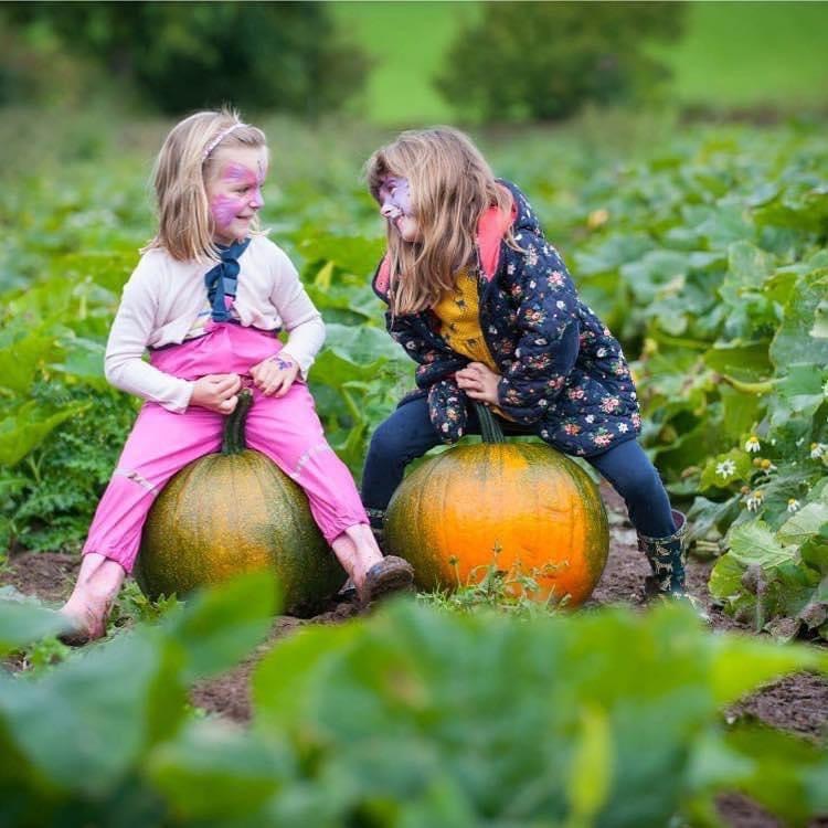 Children sitting on pumpkins