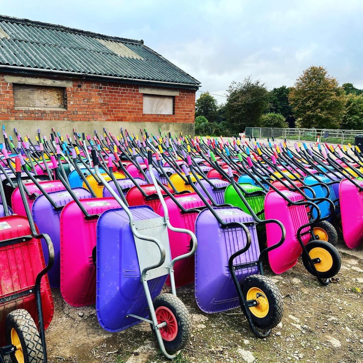 Colourful wheelbarrows at Mr Pumpkin